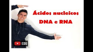 DNA e RNA  Ácidos nucleicos 5 minutos de Bio com professor Gustavo Schmidt [upl. by Bumgardner102]