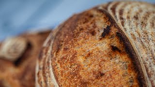 Beginner SOURDOUGH BREAD recipe  Learn how to make sourdough AT HOME [upl. by Nyladnarb]