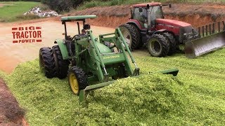 Corn Chopping Packing Silage [upl. by Bubb]