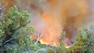 1994 South Canyon Fire on Storm King Mountain [upl. by Mailiw816]