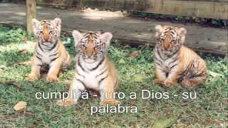 HIMNO DE RISARALDAwmv [upl. by Tnirb]