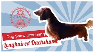 Dog Show Grooming How to Groom a Longhaired Dachshund [upl. by Adigun]