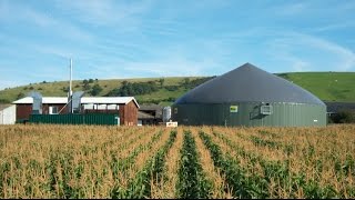 Considering an anaerobic digester [upl. by Trebleht]