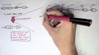 Immunology  Antibody Somatic VDJ Recombination II [upl. by Swift]