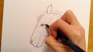 Beginners Lesson  How To Draw A Horse [upl. by Sidonius257]