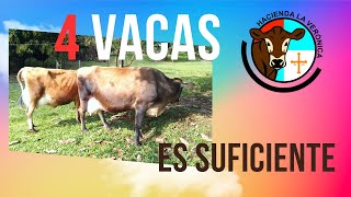 4 VACAS SON SUFICIENTES [upl. by Asyen]