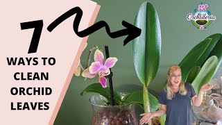 Top 7 Ways to Clean Orchid Leaves That Actually Work [upl. by Notsej]