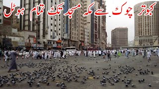 Hotels in Makkah Near Haram List  Cheap Hotels in Makkah Near Haram [upl. by Rorry]