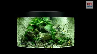 Juwel Aquarium Trigon 190 Einrichtungsbeispiel  Tutorial [upl. by Atirehs]