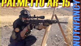 Palmetto State Armory quotFreedomquot AR15 Full Review [upl. by Siderf]