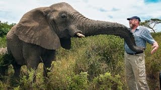 The Unforgettable Tale of the Elephant Whisperer Lawrence Anthonys Legacy [upl. by Aicekat885]