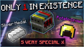 The History of The RAREST ITEMS In Hypixel Skyblock [upl. by Atilemrac]