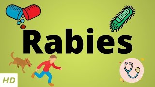 Rabies Causes SIgn and Symptoms Diagnosis and Treatment [upl. by Lauder549]