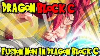 FUSION NOW IN DRAGON BLOCK C  1429 Dragon Block C UPDATE [upl. by Gregrory640]