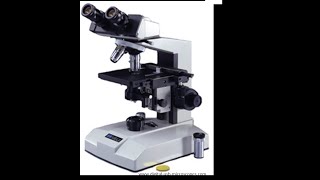 Micro Lab 3 Introduction to Compound Light Microscopy [upl. by Dawna833]