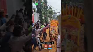 Welcome to my page ❤️ like share and subscribe for more videos 😁 jallikattu jallikattuforever [upl. by Havstad966]