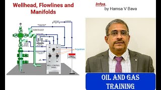 Wellhead Flowlines and Manifolds [upl. by Oedama]