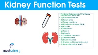 Kidney Function Tests and Interpretation of Results [upl. by Sly]