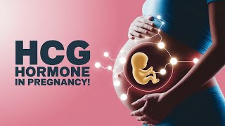 hCG Hormone in Pregnancy Explained Importance and Role [upl. by Releehw]