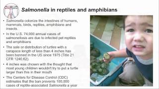 How to Perform a Gram Stain  MCCC Microbiology [upl. by Tina]