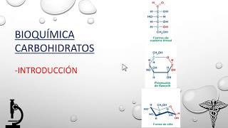 Bioquímica de carbohidratos 1 Introducción [upl. by Tarrah]