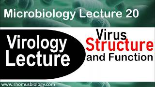 Virology lecture 1  Virus structure and classification [upl. by Kenric]