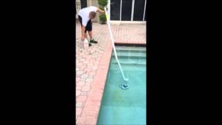 Swimming Pool Stain removal [upl. by Yemirej]