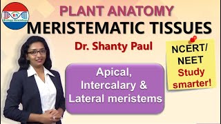 Meristematic tissues  Anatomy of flowering plants [upl. by Druci]