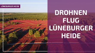 Lüneburger Heide  mit der Drohne über die Heide [upl. by Ynohta689]