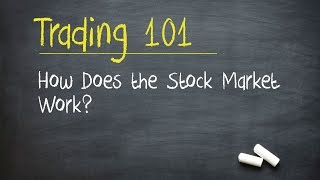 Trading 101 How Does the Stock Market Work [upl. by Yesmar874]