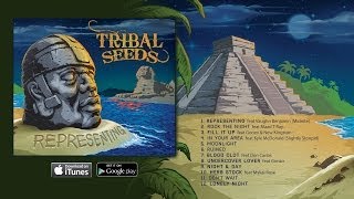 Tribal Seeds  In Your Area ft Slightly Stoopid OFFICIAL AUDIO [upl. by Ehcar223]