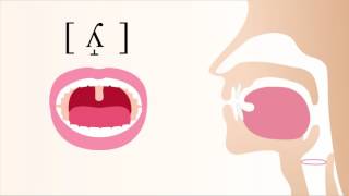 ʎ̝  voiced dorsal palatal lateral fricative [upl. by Norraj]