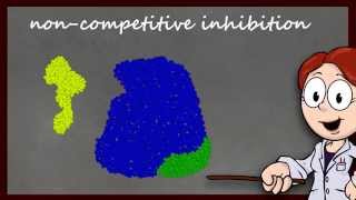 Enzyme Function and Inhibition [upl. by Ahsil16]