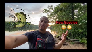 MultiSpecies Fishing in Farrington Lake New Jersey New Species [upl. by Yra]