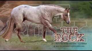 The Rock  AQHA Red Roan Stallion [upl. by Camfort]