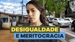 DESIGUALDADE SOCIAL E MERITOCRACIA  SEGUE O FIO 25 [upl. by Dalila]