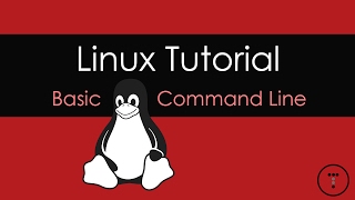 Linux Tutorial  Basic Command Line [upl. by Ivatts946]