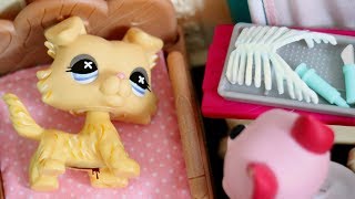 LPS Bones Short Film [upl. by Ennylyak]