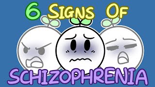 6 Signs Of Schizophrenia [upl. by Aleekahs]