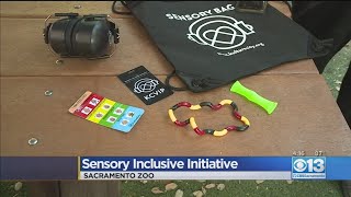 Sensory Inclusive Initiative At Sacramento Zoo [upl. by Etnohc817]