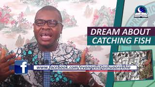 DREAM ABOUT CATCHING FISH  Biblical Meaning Of Fish In Dream [upl. by Nwahsed]