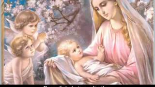 Ave Maria Latin lyrics w English translation [upl. by Gavrah]