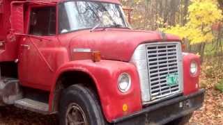 1973 International Loadstar 1700 dump truck [upl. by Suchta]