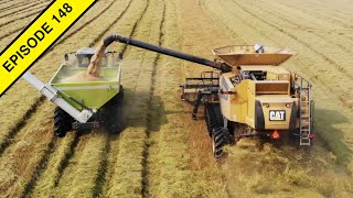 2020 California USA Rice Harvest  Tractor Video [upl. by Yenhpad274]