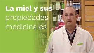 La MIEL 🍯 y sus Propiedades Medicinales [upl. by Odeen]