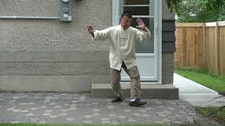 Tung Tai Chi – Slow Form First Half [upl. by Seline]