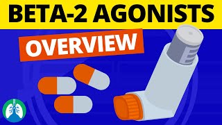 Beta2 Adrenergic Agonists Medications OVERVIEW  Bronchodilators [upl. by Siurad]