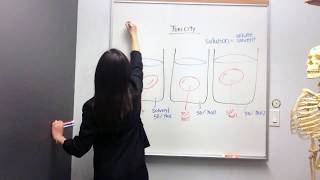 Tonicity Hypertonic Hypotonic and Isotonic Solutions [upl. by Anahsek813]