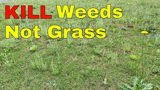 How to KILL WEEDS in Your Lawn WITHOUT KILLING the GRASS [upl. by Reste]