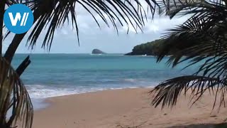 Guadeloupe traveldocumentary from the season quotCaribbean Momentsquot [upl. by Quintessa748]